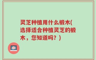 灵芝种植用什么椴木(选择适合种植灵芝的椴木，您知道吗？)