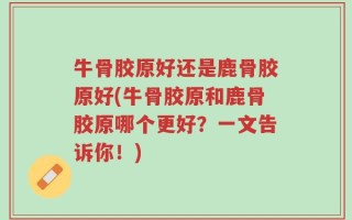 牛骨胶原好还是鹿骨胶原好(牛骨胶原和鹿骨胶原哪个更好？一文告诉你！)