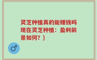 灵芝种植真的能赚钱吗现在灵芝种植：盈利前景如何？)