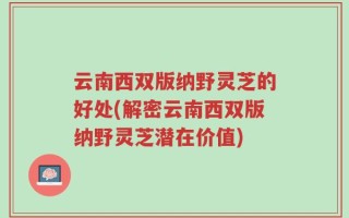 云南西双版纳野灵芝的好处(解密云南西双版纳野灵芝潜在价值)