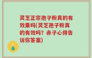 灵芝正宗孢子粉真的有效果吗(灵芝孢子粉真的有效吗？赤子心得告诉你答案)