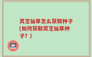 灵芝仙草怎么获取种子(如何获取灵芝仙草种子？)