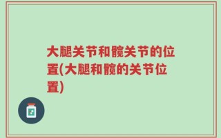大腿关节和髋关节的位置(大腿和髋的关节位置)