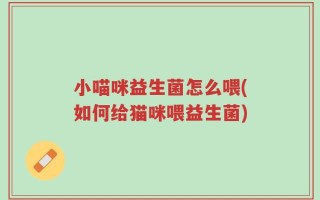 小喵咪益生菌怎么喂(如何给猫咪喂益生菌)