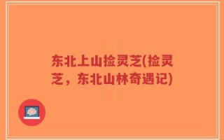 东北上山捡灵芝(捡灵芝，东北山林奇遇记)