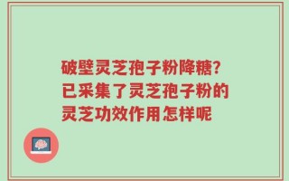 破壁灵芝孢子粉降糖？已采集了灵芝孢子粉的灵芝功效作用怎样呢