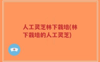 人工灵芝林下栽培(林下栽培的人工灵芝)