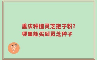 重庆种植灵芝孢子粉？哪里能买到灵芝种子