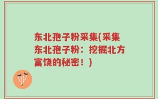 东北孢子粉采集(采集东北孢子粉：挖掘北方富饶的秘密！)