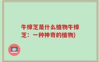 牛樟芝是什么植物牛樟芝：一种神奇的植物)