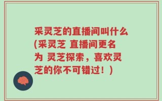 采灵芝的直播间叫什么(采灵芝 直播间更名为 灵芝探索，喜欢灵芝的你不可错过！)