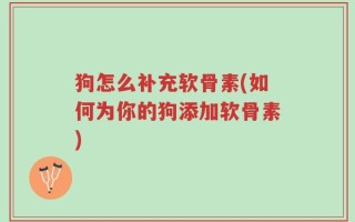 狗怎么补充软骨素(如何为你的狗添加软骨素)
