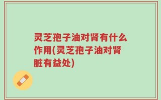 灵芝孢子油对肾有什么作用(灵芝孢子油对肾脏有益处)