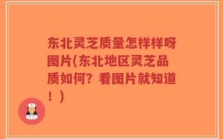 东北灵芝质量怎样样呀图片(东北地区灵芝品质如何？看图片就知道！)