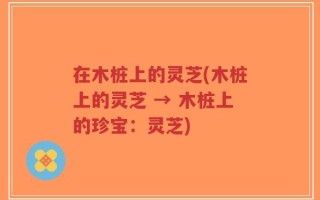 在木桩上的灵芝(木桩上的灵芝 → 木桩上的珍宝：灵芝)