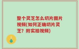整个灵芝怎么切片图片视频(如何正确切片灵芝？附实拍视频)