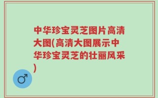 中华珍宝灵芝图片高清大图(高清大图展示中华珍宝灵芝的壮丽风采)
