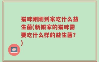 猫咪刚刚到家吃什么益生菌(新搬家的猫咪需要吃什么样的益生菌？)