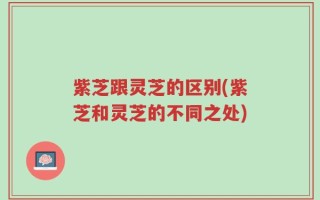 紫芝跟灵芝的区别(紫芝和灵芝的不同之处)