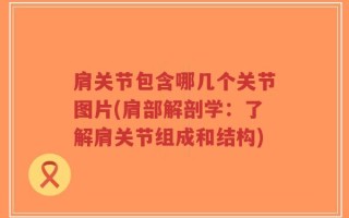 肩关节包含哪几个关节图片(肩部解剖学：了解肩关节组成和结构)
