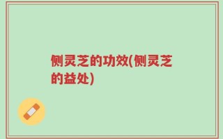 侧灵芝的功效(侧灵芝的益处)