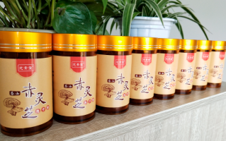 芝素堂泰山赤灵芝孢子粉孕育灵芝精华