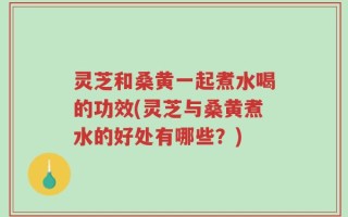 灵芝和桑黄一起煮水喝的功效(灵芝与桑黄煮水的好处有哪些？)