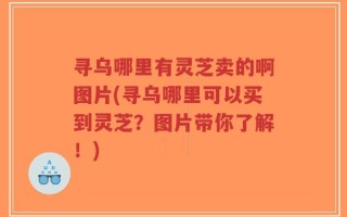 寻乌哪里有灵芝卖的啊图片(寻乌哪里可以买到灵芝？图片带你了解！)