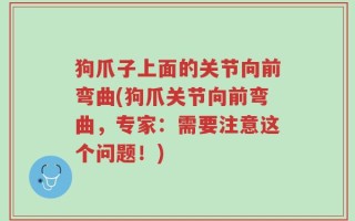 狗爪子上面的关节向前弯曲(狗爪关节向前弯曲，专家：需要注意这个问题！)