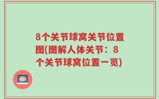 8个关节球窝关节位置图(图解人体关节：8个关节球窝位置一览)