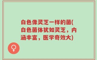 白色像灵芝一样的菌(白色菌体犹如灵芝，内涵丰富，医学奇效大)