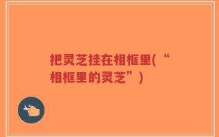 把灵芝挂在相框里(“相框里的灵芝”)