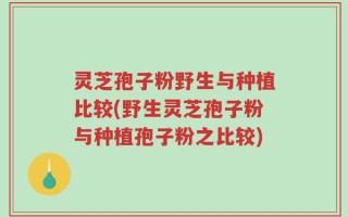 灵芝孢子粉野生与种植比较(野生灵芝孢子粉与种植孢子粉之比较)