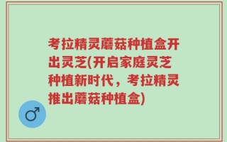 考拉精灵蘑菇种植盒开出灵芝(开启家庭灵芝种植新时代，考拉精灵推出蘑菇种植盒)