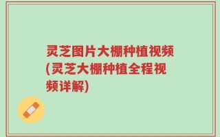 灵芝图片大棚种植视频(灵芝大棚种植全程视频详解)