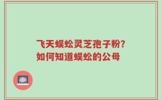 飞天蜈蚣灵芝孢子粉？如何知道蜈蚣的公母