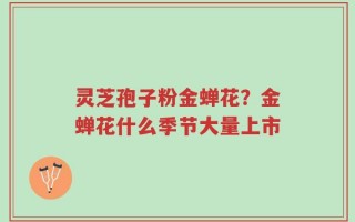 灵芝孢子粉金蝉花？金蝉花什么季节大量上市