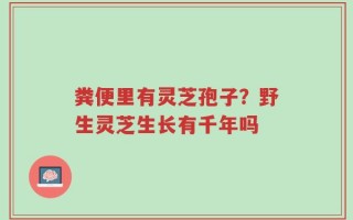 粪便里有灵芝孢子？野生灵芝生长有千年吗