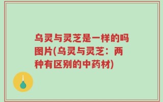 乌灵与灵芝是一样的吗图片(乌灵与灵芝：两种有区别的中药材)