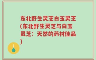 东北野生灵芝白玉灵芝(东北野生灵芝与白玉灵芝：天然的药材佳品)