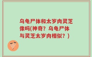 乌龟尸体和太岁肉灵芝像吗(神奇？乌龟尸体与灵芝太岁肉相似？)
