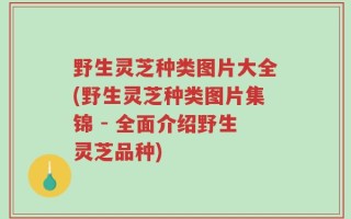 野生灵芝种类图片大全(野生灵芝种类图片集锦 - 全面介绍野生灵芝品种)