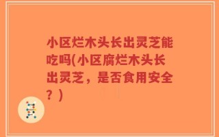 小区烂木头长出灵芝能吃吗(小区腐烂木头长出灵芝，是否食用安全？)