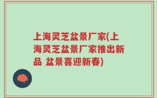 上海灵芝盆景厂家(上海灵芝盆景厂家推出新品 盆景喜迎新春)