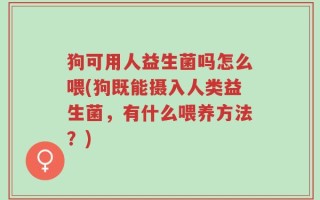 狗可用人益生菌吗怎么喂(狗既能摄入人类益生菌，有什么喂养方法？)
