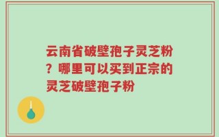 云南省破壁孢子灵芝粉？哪里可以买到正宗的灵芝破壁孢子粉
