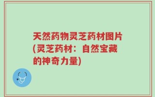 天然药物灵芝药材图片(灵芝药材：自然宝藏的神奇力量)