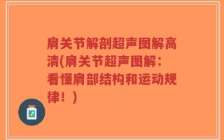 肩关节解剖超声图解高清(肩关节超声图解：看懂肩部结构和运动规律！)