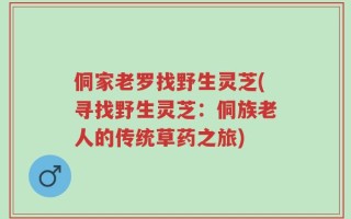 侗家老罗找野生灵芝(寻找野生灵芝：侗族老人的传统草药之旅)