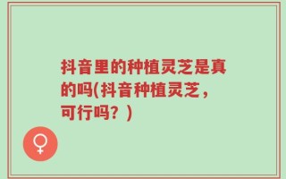 抖音里的种植灵芝是真的吗(抖音种植灵芝，可行吗？)